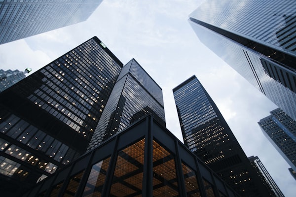 Public corporation governance